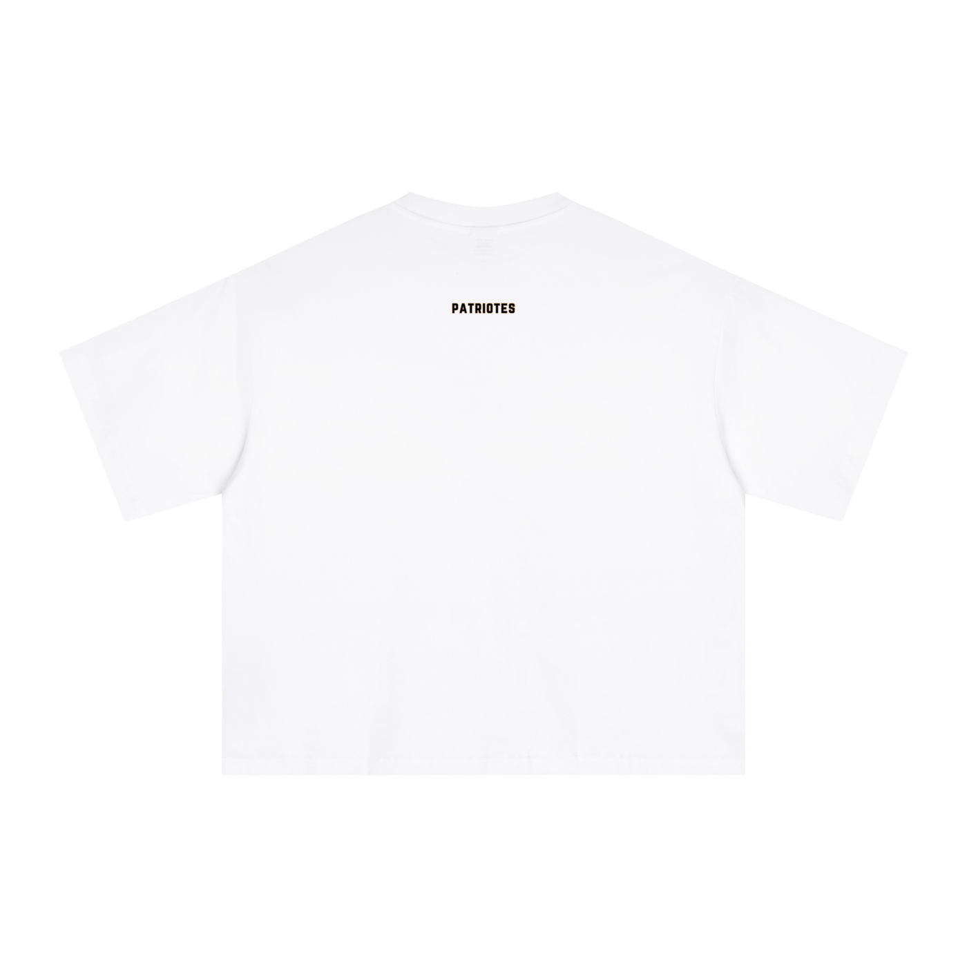 ALBANIAN LION BOXY T-SHIRT